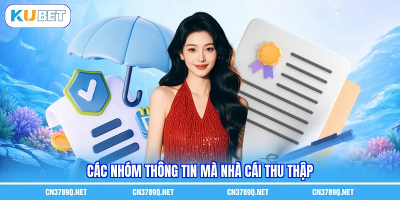 Các nhóm thông tin mà nhà cái thu thập