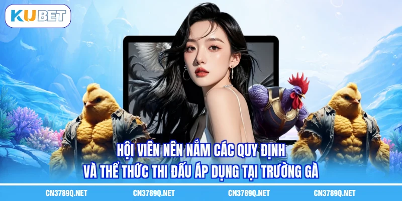 Hội viên nên nắm các quy định và thể thức thi đấu áp dụng tại trường gà