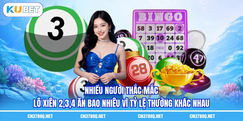 Nhiều người thắc mắc lô xiên 2,3,4 ăn bao nhiêu vì tỷ lệ thường khác nhau Nhiều người thắc mắc lô xiên 2,3,4 ăn bao nhiêu vì tỷ lệ thường khác nhau